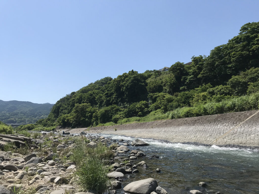 韓国人会館裏